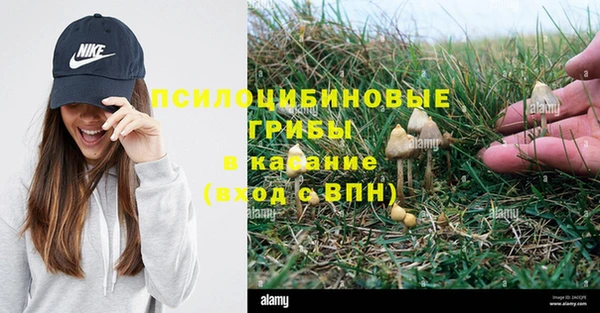 гашишное масло Каменск-Шахтинский