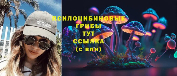 бутират Каменногорск