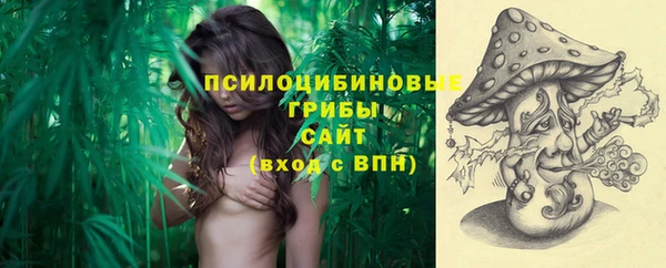 скорость Липки