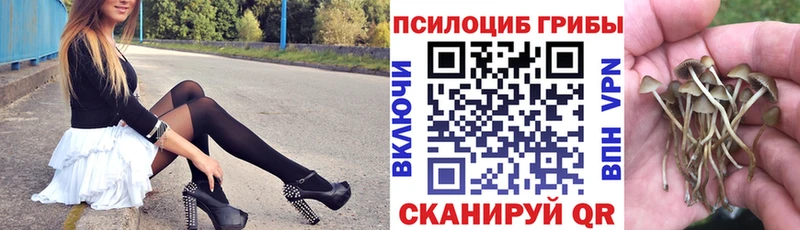 Галлюциногенные грибы ЛСД Никольское