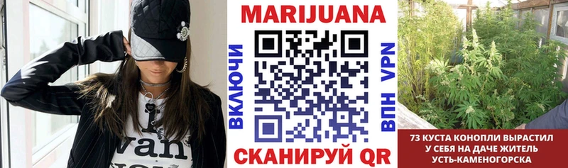 где купить наркоту  Никольское  Шишки марихуана марихуана 